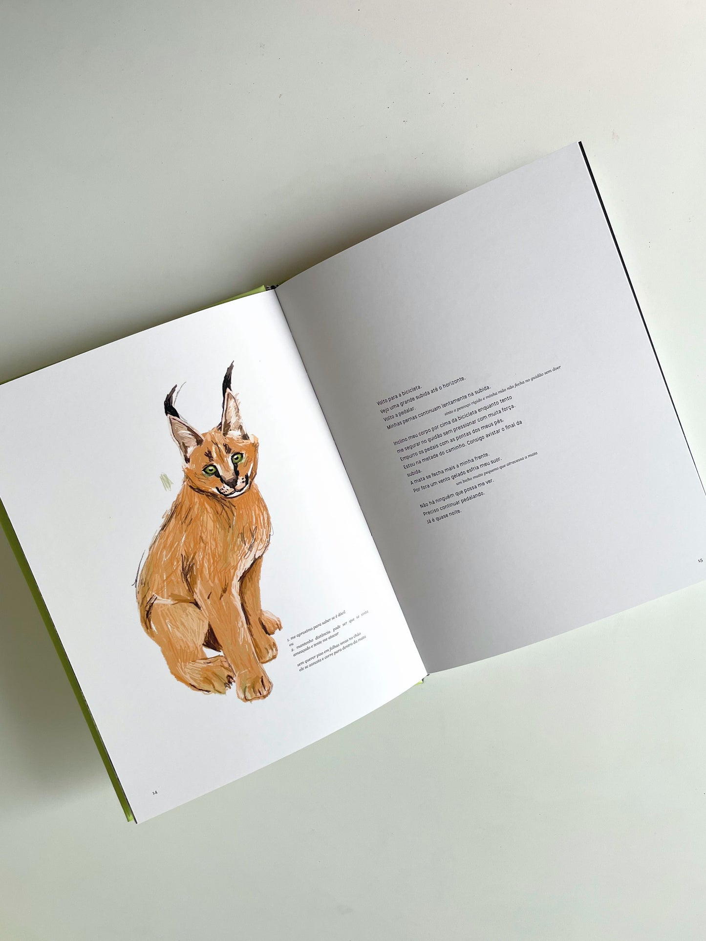 Livro "Os insetos estão vivos!"