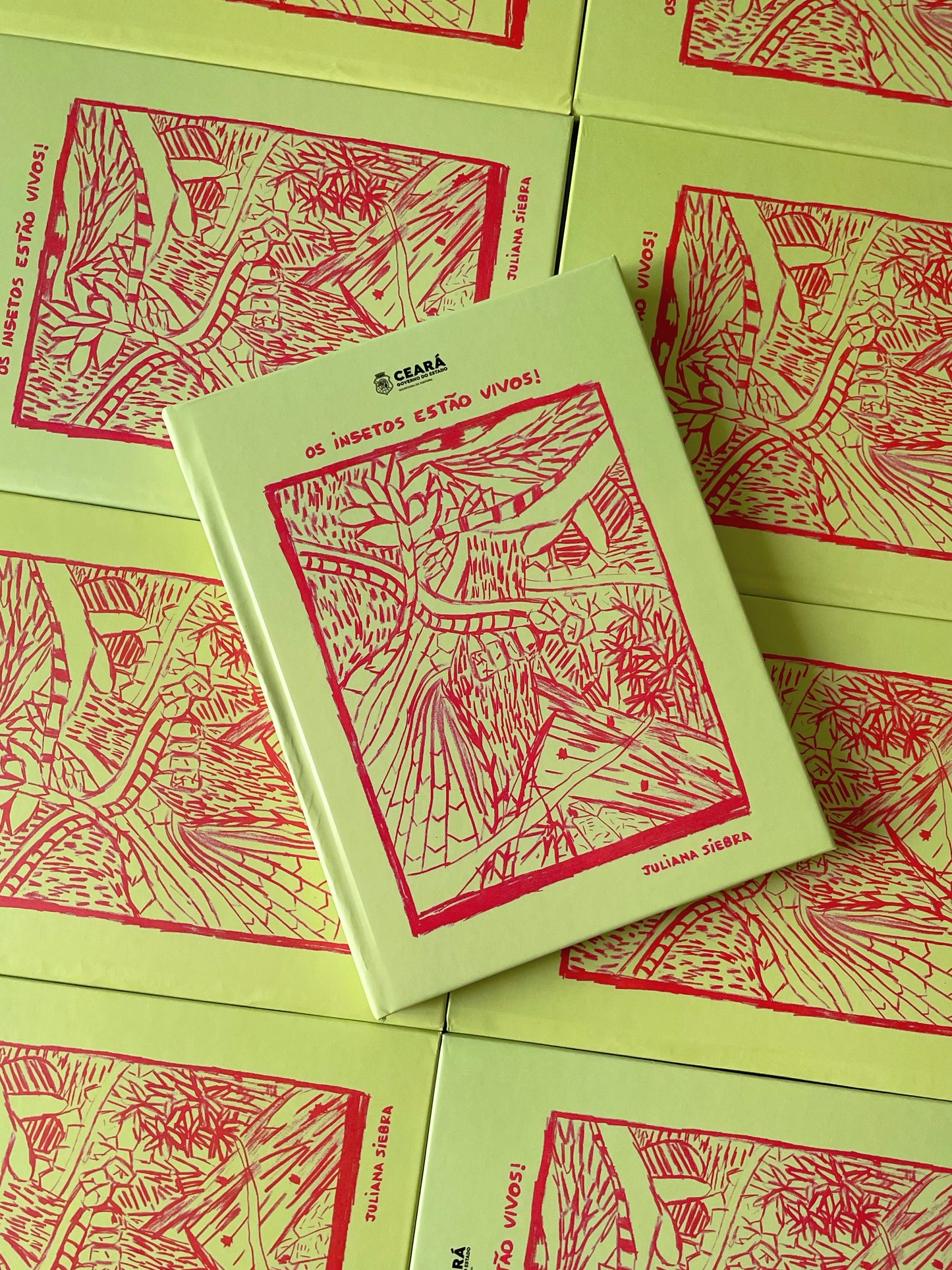 Livro "Os insetos estão vivos!"