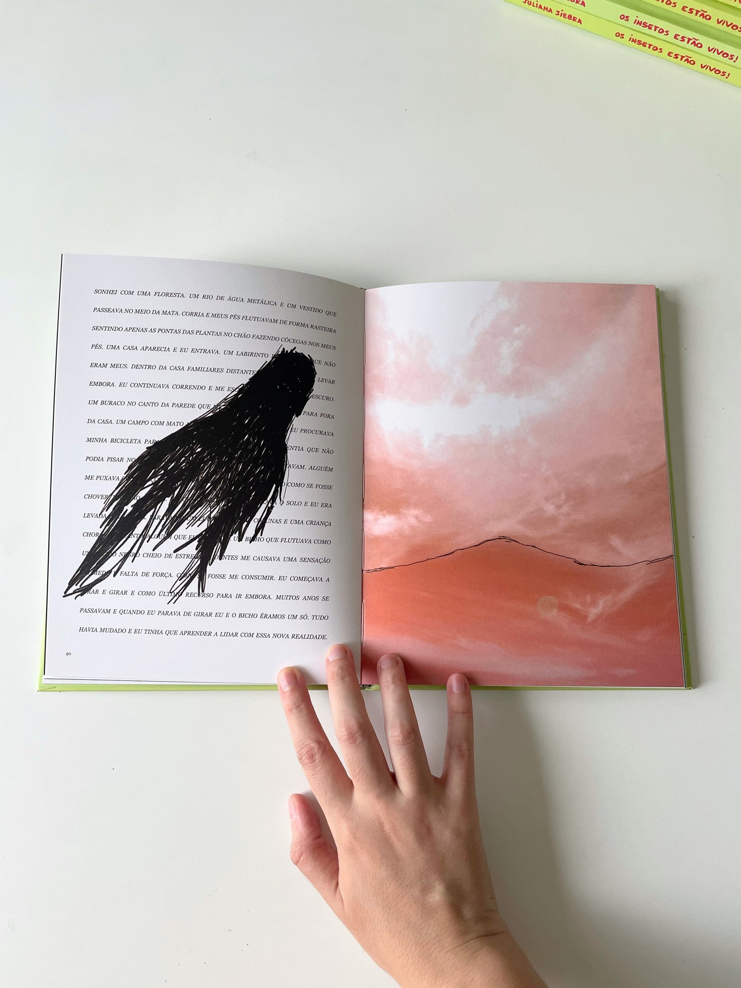 Livro "Os insetos estão vivos!"