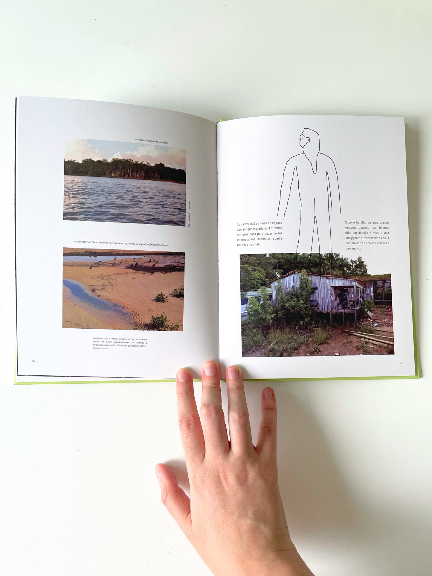 Livro "Os insetos estão vivos!"